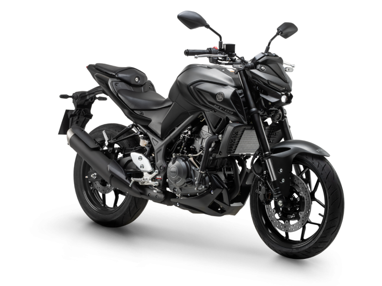 MT 03